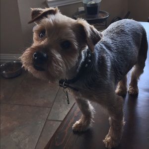 Meet your Posher, Gary